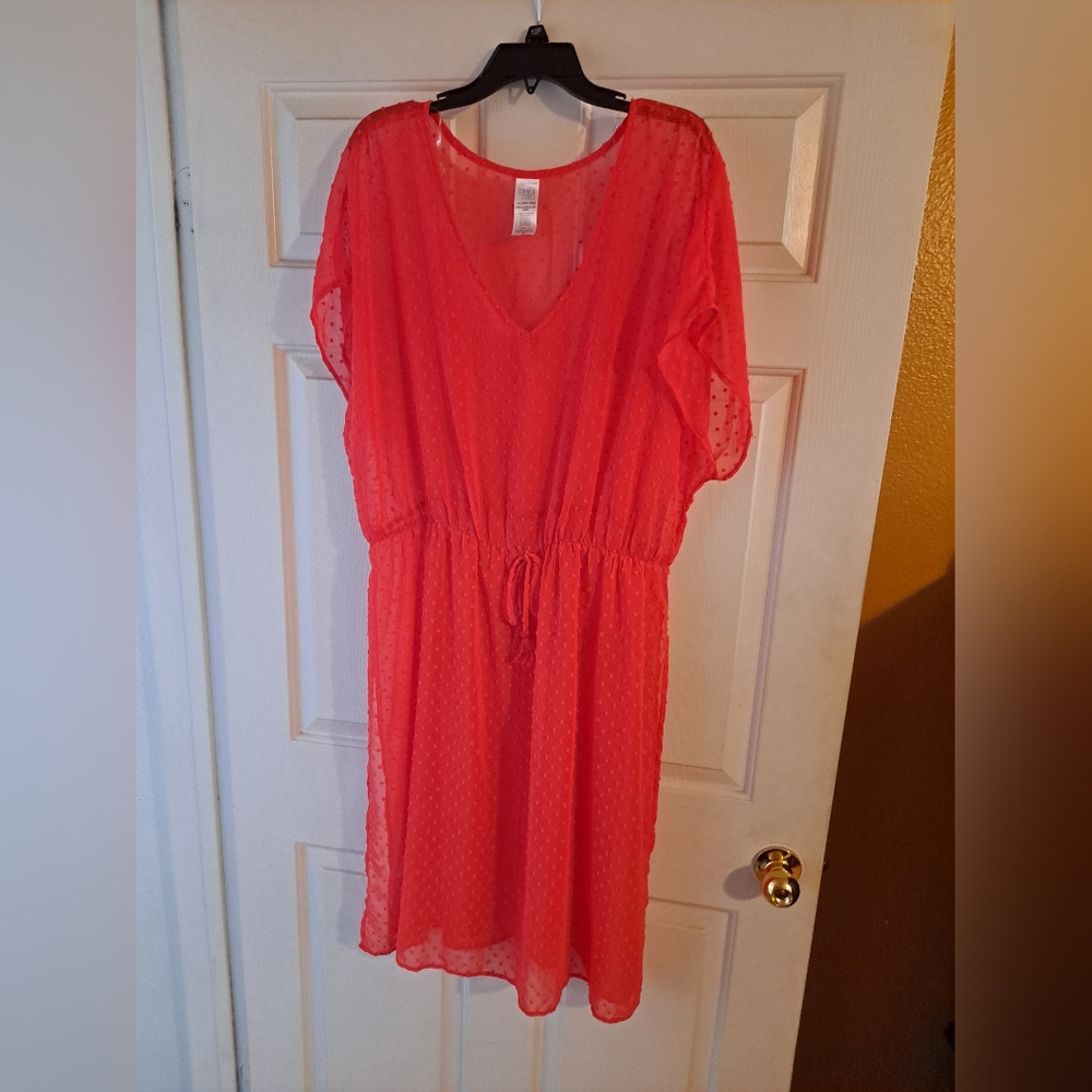 1X Bathing Suit cover up